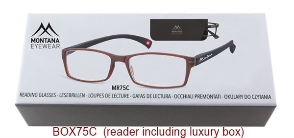 GAFA PRESBICIA ADULTO MODELO MR75 (2)